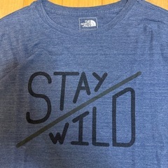 【日本未発売】THE NORTHFACE ダークブルー Tシャツ XXLの画像