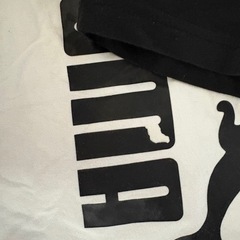 お取引中
京急富岡・プーマ半袖140〜150の画像