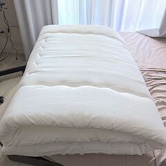 【美品】TOPVALU シングル敷布団 寝具  ポリエステル100％ 軽量・丸洗い可能・来客用にも最適の画像