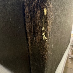 ソファーの画像