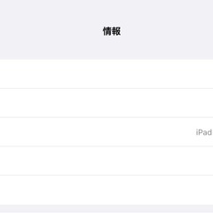 【20日夕方まで】iPadPro 第5世代 256GB WiFiモデルの画像