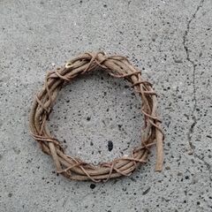 リース？の画像