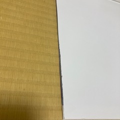 2026 世界の車窓から
の画像