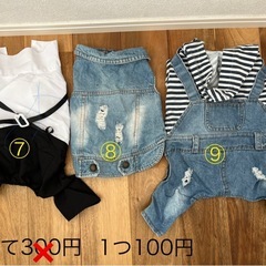 わんちゃん服の画像