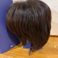 フォンテーヌ　女性用ウィッグ　57センチの画像