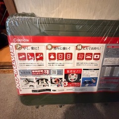 タイヤチェーン　カーメイト　バイアスロン　クイックイージー　QE10【未使用】の画像