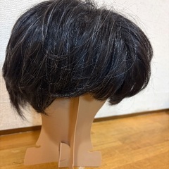 男性用医療用ウィッグ　サイズ59センチの画像