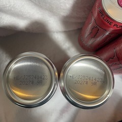 モンスターエナジー　パイプラインパンチ　10本セットの画像