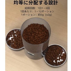 新品未使用✨️ 自動給餌器 2匹 猫 用 4.2L タイマー式 自動餌やり器 分量調整 音声録音 定時定量 タイマー式 多頭飼い 2匹同時の画像