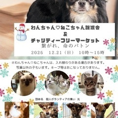 譲渡会のお知らせ