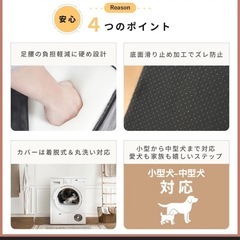 ペット　スロープ　動物　犬　階段の画像