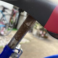 2022年3月購入 ブリヂストン クロスファイヤージュニア 22インチ 7段変速 / ダイナモランプの画像