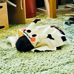 【ハンドメイド】ミミッキュの衣装の画像