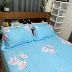 クイーンサイズのベッドフレーム+マットレスの画像