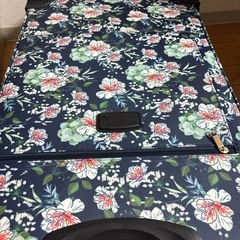 タイで購入したでかいスーツケース(右の部分のコロコロが壊れかけです)の画像