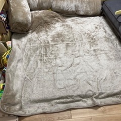 ダブルコーナークッションセット　ローソファー　ベージュ大1.5cm ベルメゾンの画像