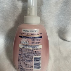 Dove Beauty Moisture 泡ボディソープ本体(つややか)の画像