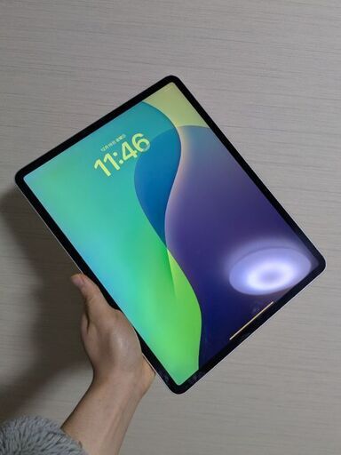 値引き不可 iPad Pro 第3世代（2018）12.9インチ 64GB (アキプロ