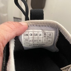 テニスシューズ　【25cm
】の画像