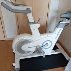 【必ず全てをお読みになってからお問い合わせください】HORIZONフィットネスバイクの画像