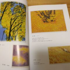 『東山魁夷 版画作品選〔下巻〕』東山すみ監修　香川県立東山魁夷せとうち美術館の画像