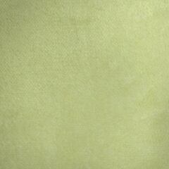 毛布　イエローの画像