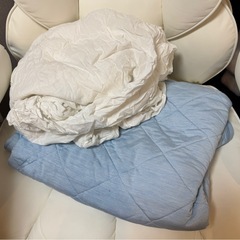 クッション、シーツの画像