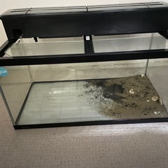 水槽の画像