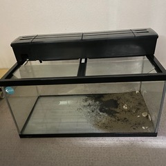 水槽の画像