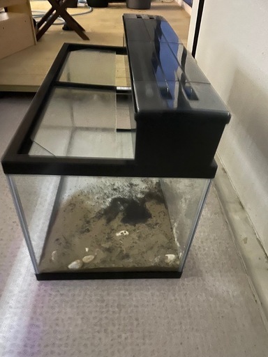水槽