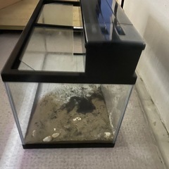 水槽の画像