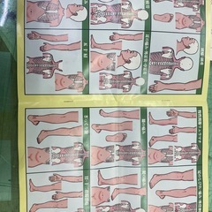 バルホットの画像