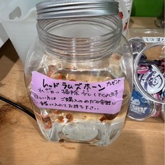 めだか販売の画像