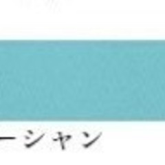 カーテン　美品の画像