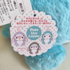 BIG！しろっぴー×さめの画像