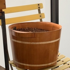 ガーデニング棚、ガーデニング用品の画像