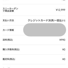 MEGAドリーム３BOXシュリ付きセット鑑定書付きスタートデッキ100他カード☆の画像