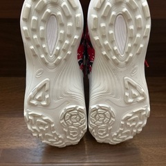 トレーニングシューズ     24.5cm  Women"sの画像