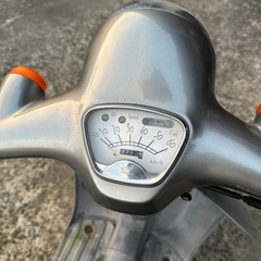 ジョルノの画像