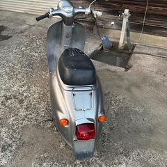 ジョルノの画像