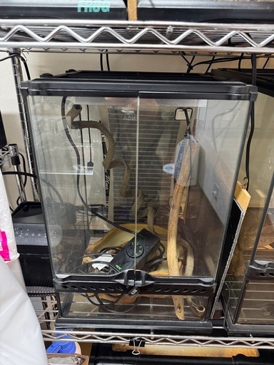 氷川きよし 旅うた スペシャル BOX ケース 破損あり 2024 氷川きよし