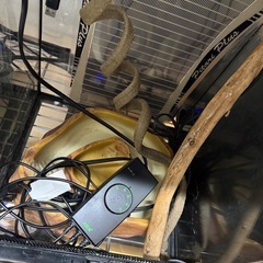 グラステラリウム(30×30 高さ46)の画像