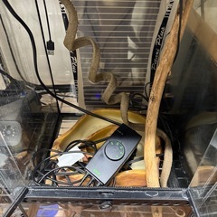 グラステラリウム(30×30 高さ46)の画像