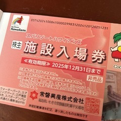 ハワイアンズ入場券2枚などの画像