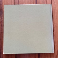 長渕剛　ツアーパンフの画像