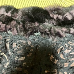 ラビットファー　ボレロ　二次会パーティーなど　紫の画像