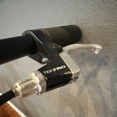 LOUIS GARNEAU 子供用自転車18インチの画像