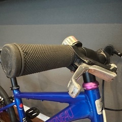 LOUIS GARNEAU 子供用自転車18インチの画像