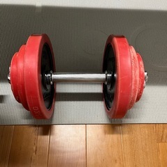 ダンベル　ベンチ　の画像