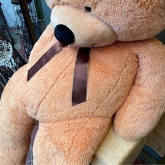 160cm  クマのぬいぐるみ　　ビッグベア　大きな熊の画像